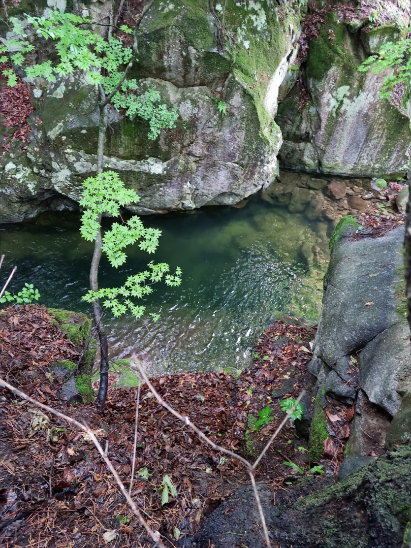 9a73f686143a704f26155d5db14fcb37_1655265740_6457.jpg